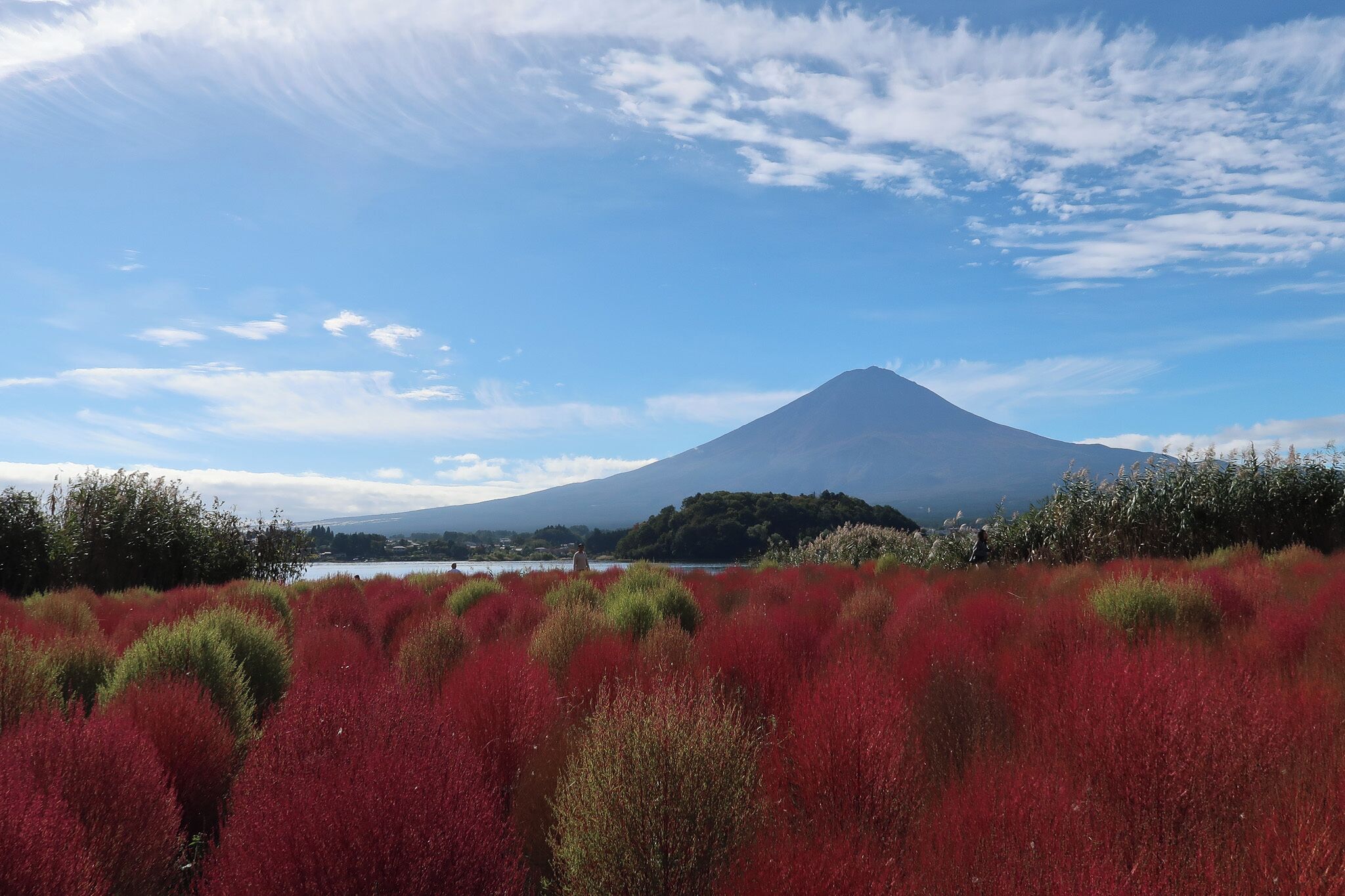 A landscape with a mountain, a lake, and red vegetation.