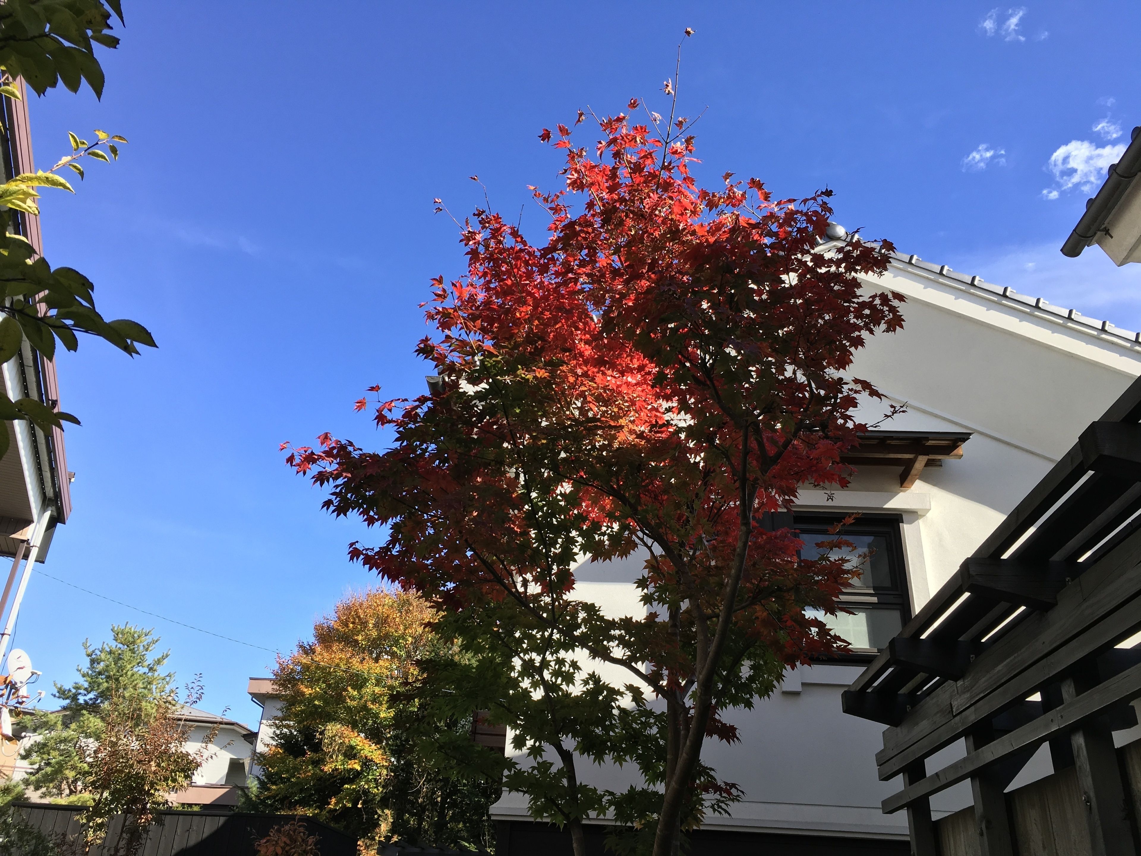 施設の敷地