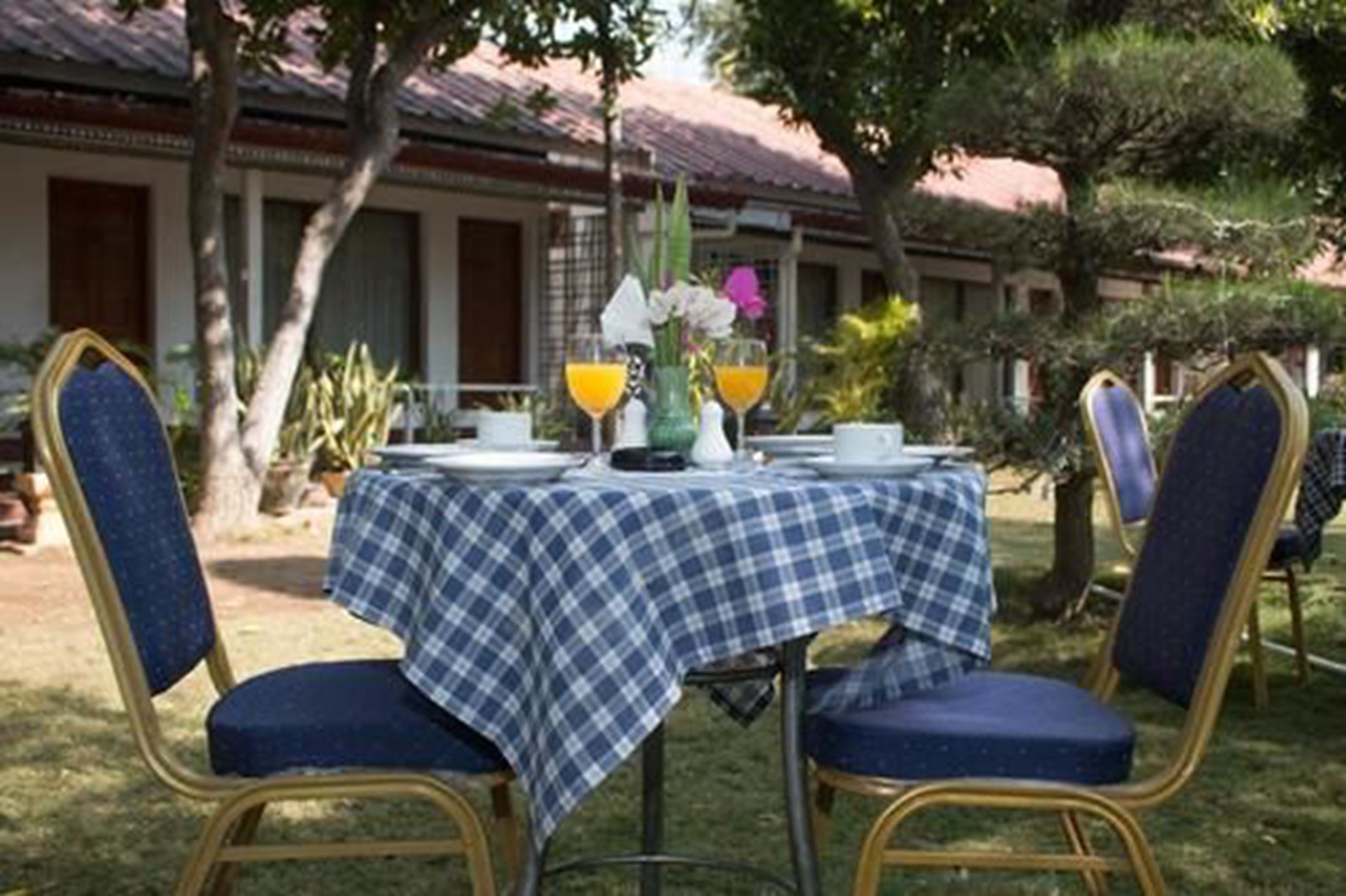 Un área de comedor al aire libre con mantel a cuadros, dos sillas azules con cojines y una mesa dispuesta con un jarrón de flores, dos vasos de jugo de naranja y un plato.