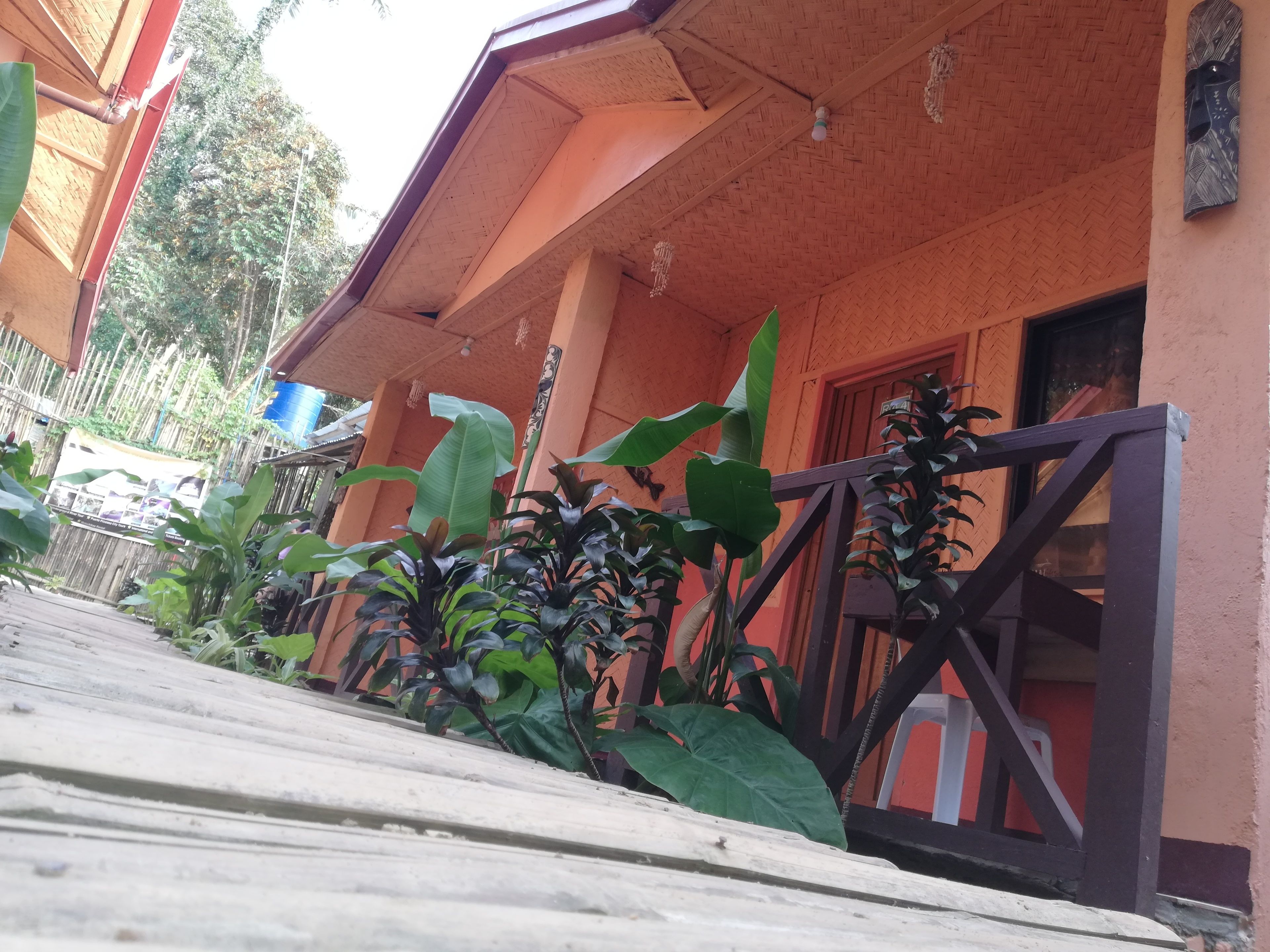 Foto - Forest Bay Inn El Nido