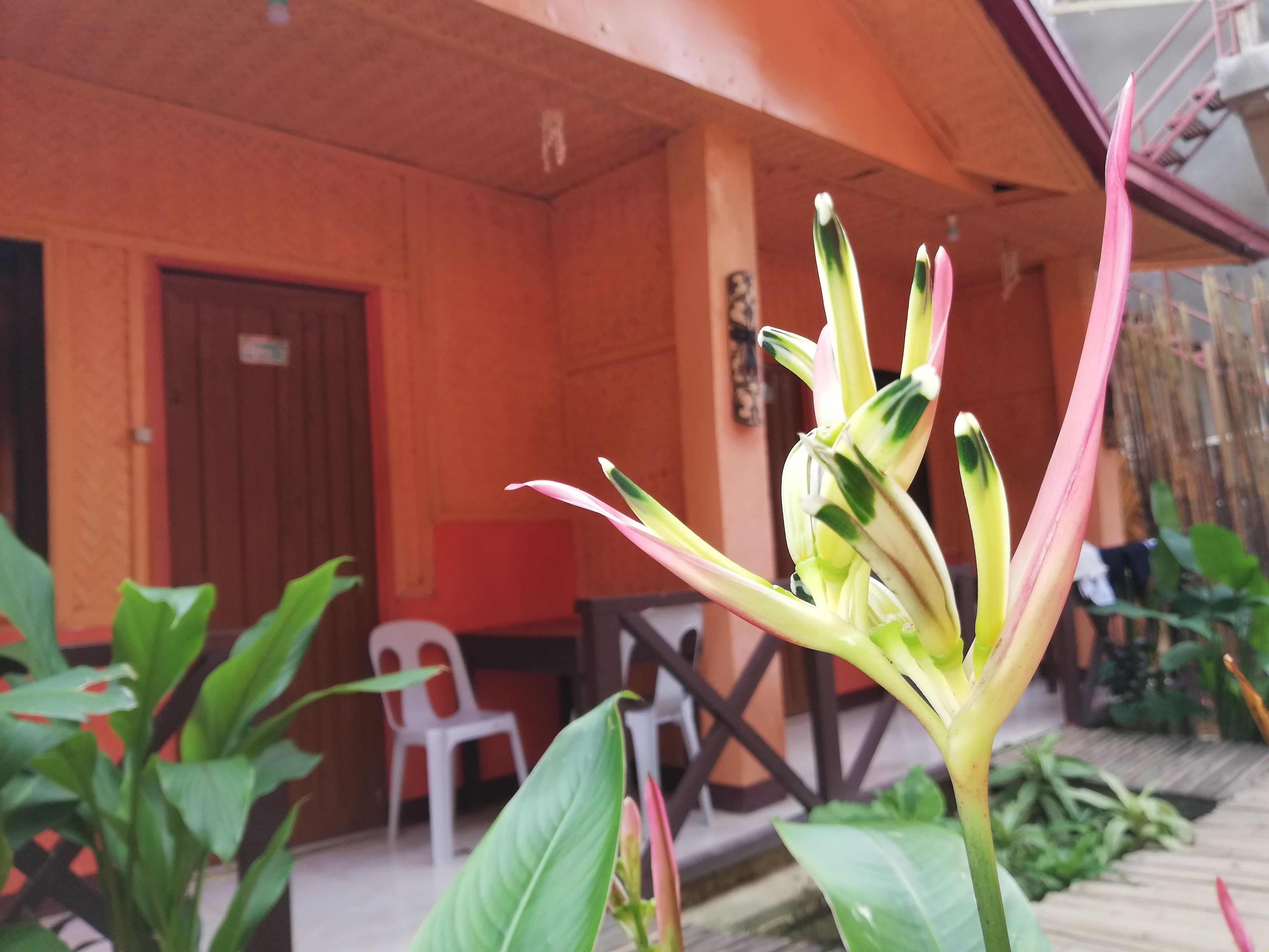 Majoituspaikan julkisivu