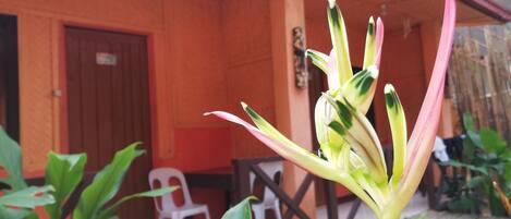 Majoituspaikan julkisivu