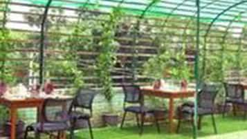 A greenhouse structure with tables and chairs arranged for dining.
