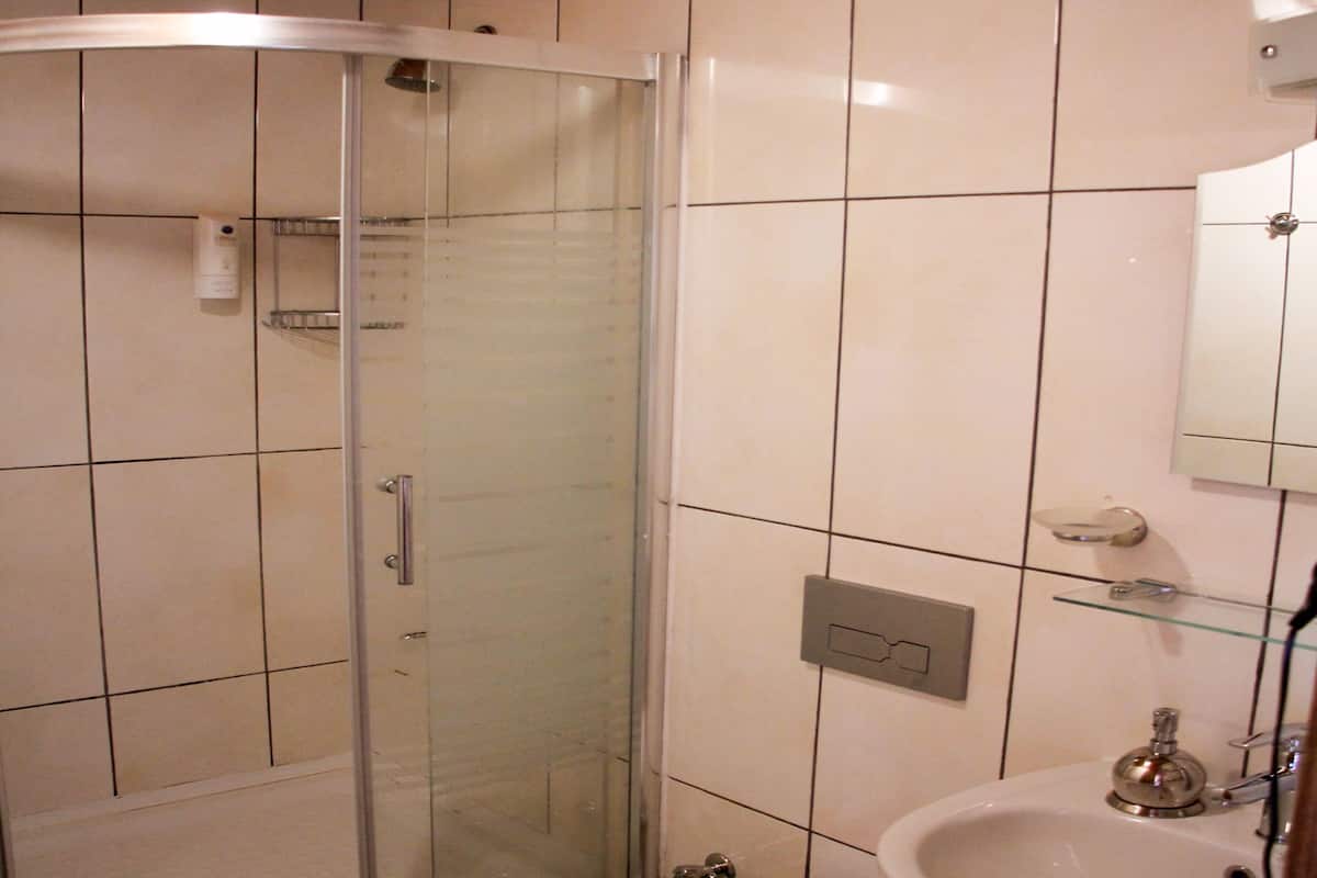 shower, free toiletries, hair dryer, slippers