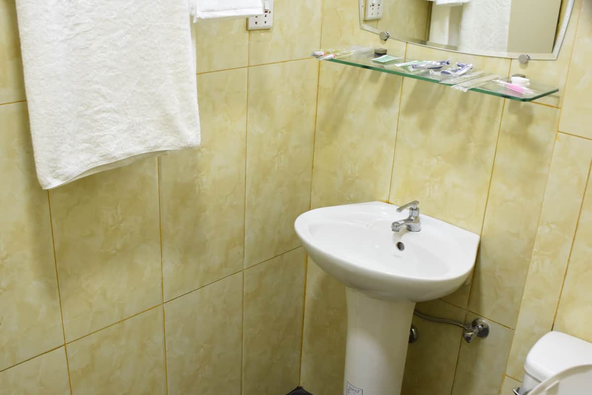 shower, free toiletries, hair dryer