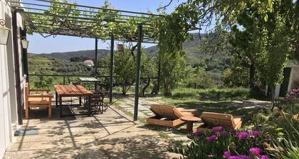 Temenia House