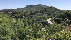 A mountainous landscape with a winding road, dense greenery, and scattered buildings.
