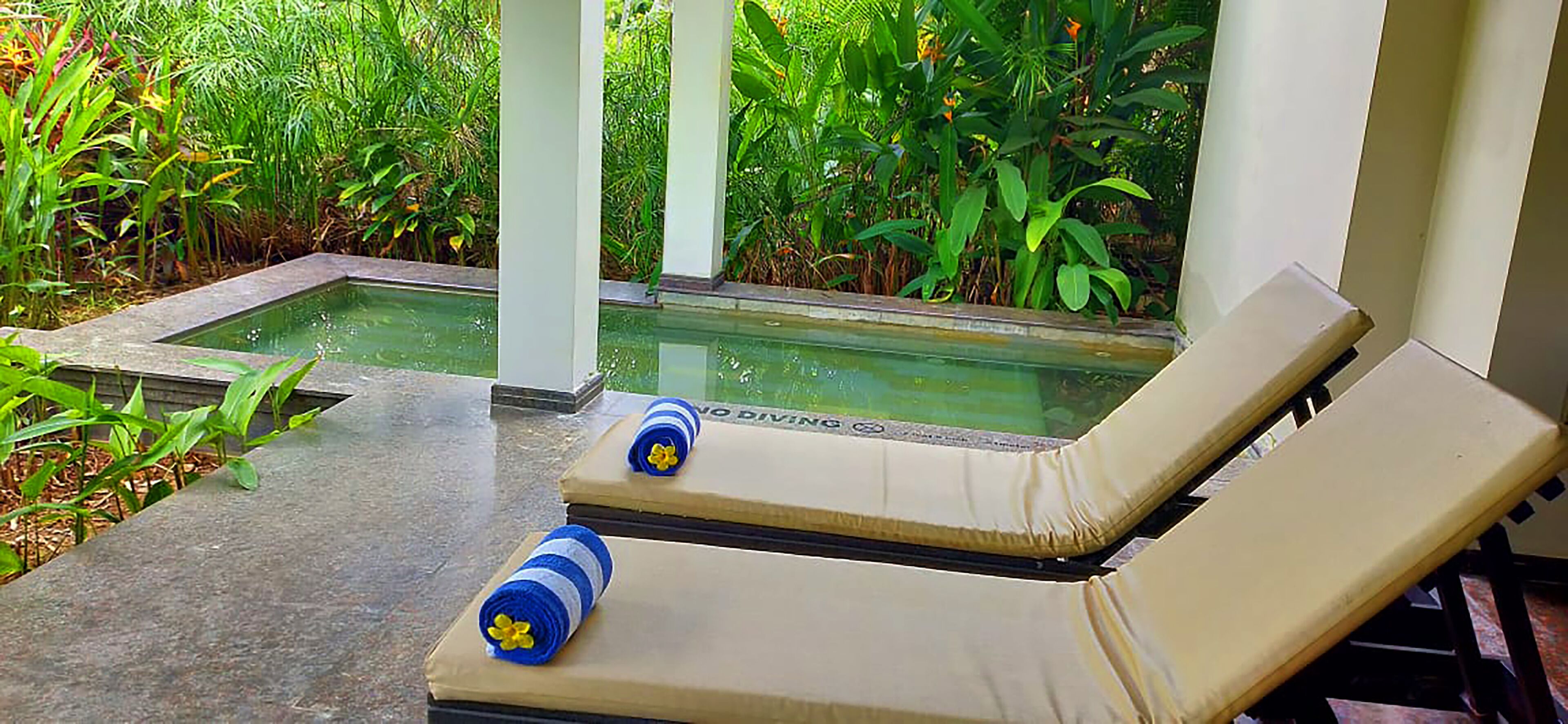 Two sun loungers with cushions, a small pool, and lush greenery in the background.