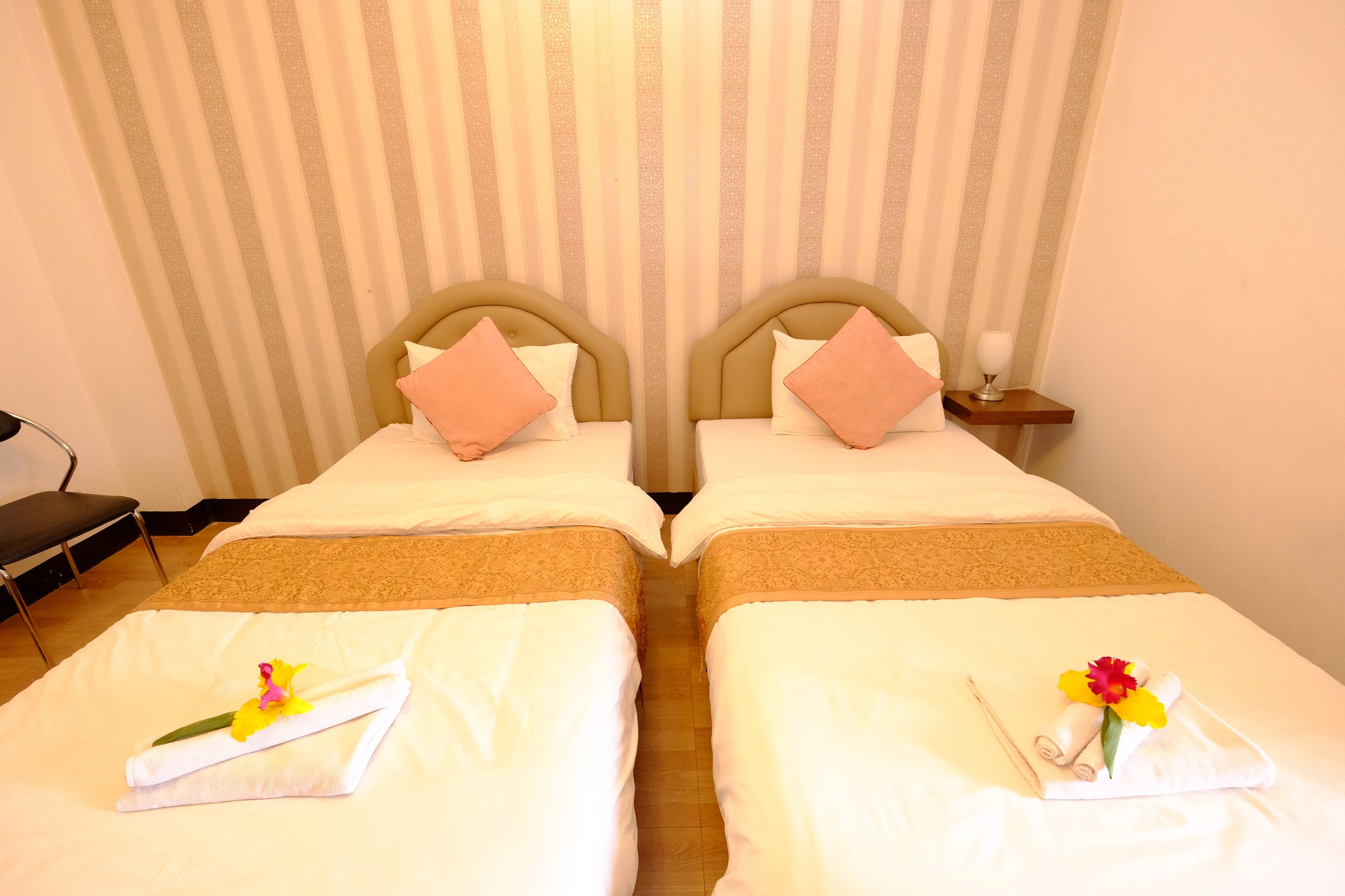 واي فاي مجانًا