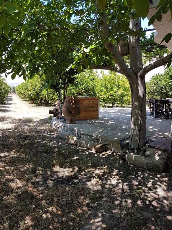 Jardin