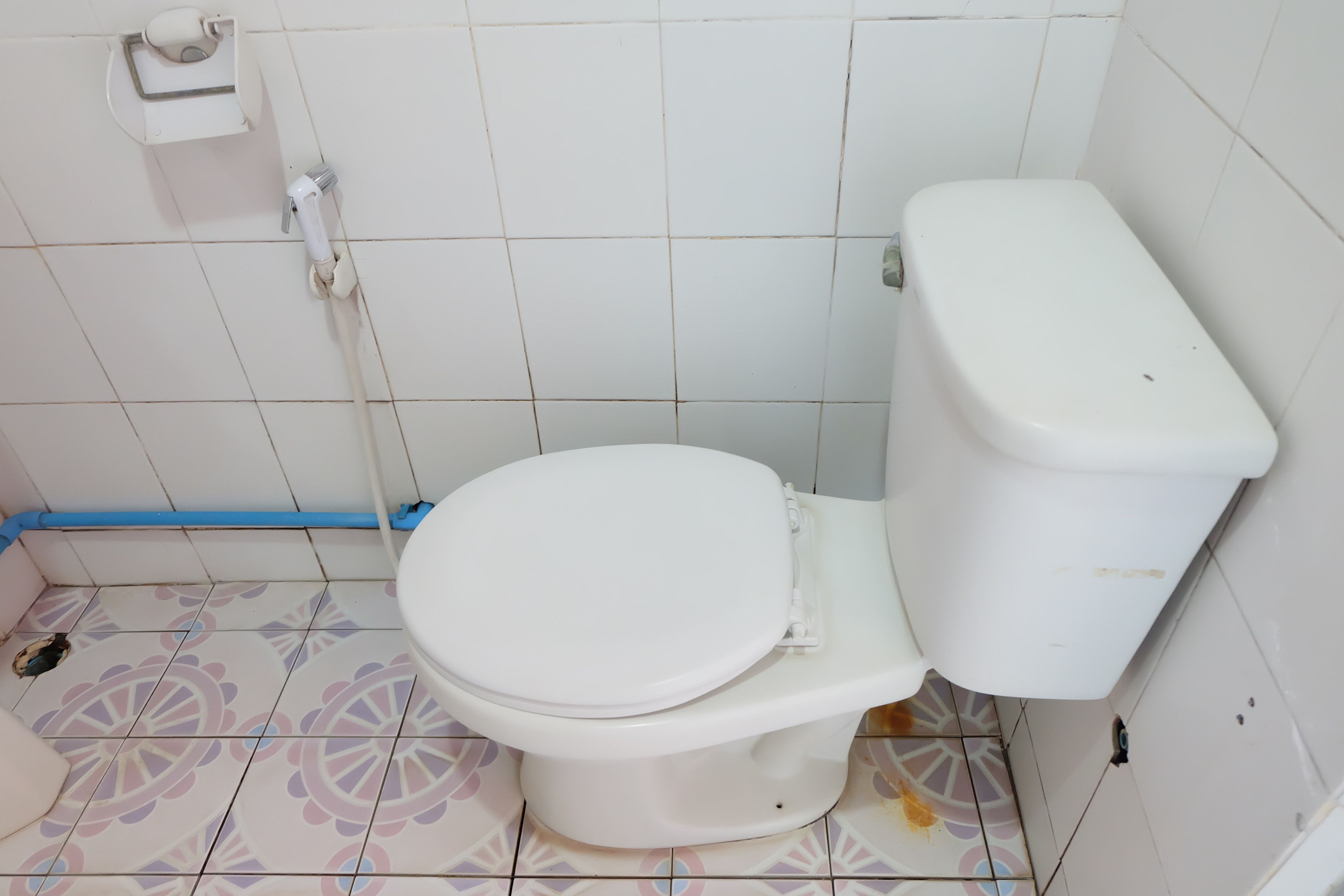 Un baño con inodoro, dispensador de papel higiénico y baldosas de suelo estampadas.