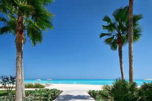 A pathway leading to a beach with palm trees and a clear blue sky. - Al Alamein Hotel (El Alamein)
