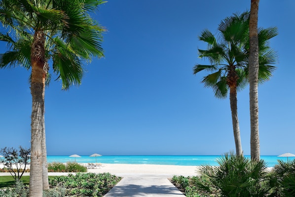 位於海灘上、白沙、滑水、機動船艇