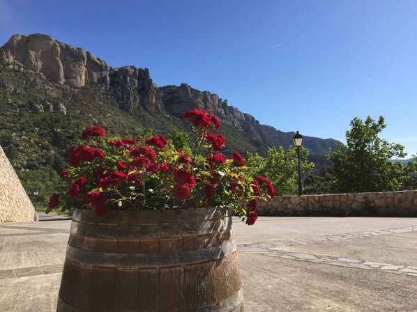 Jardín
