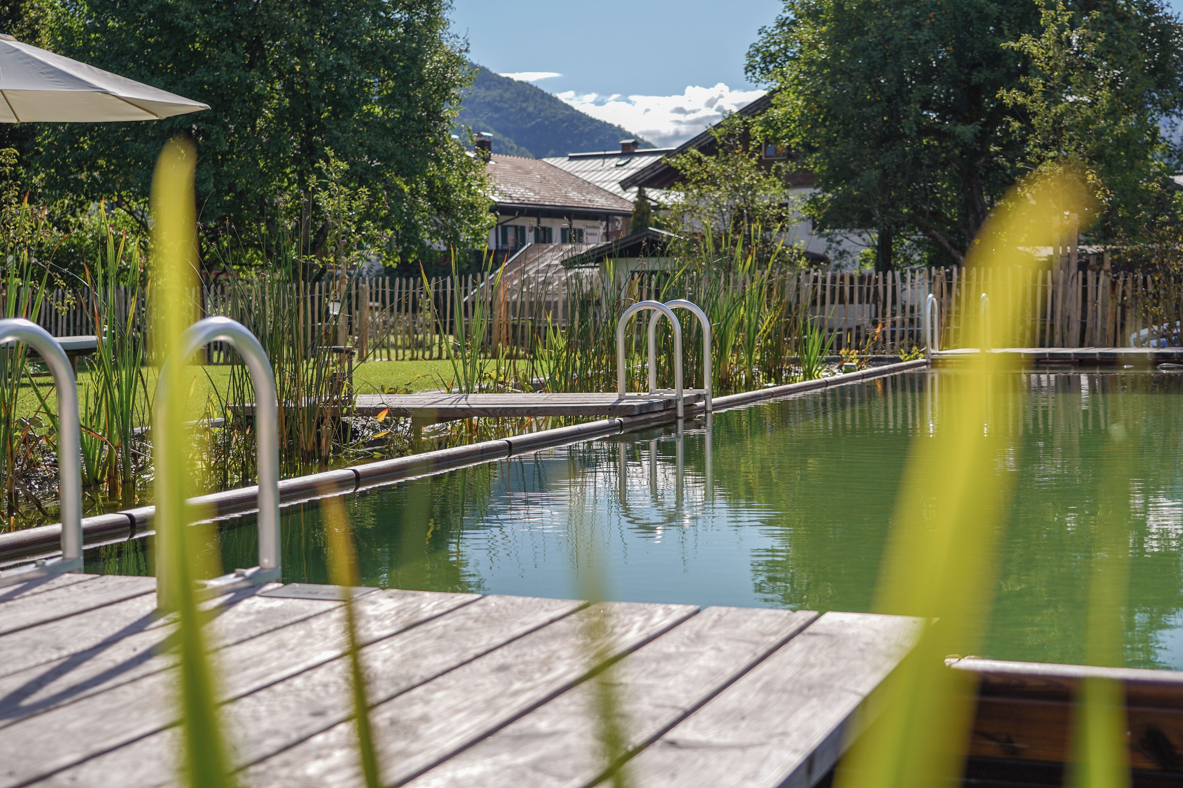 A wooden deck with a pool, surrounded by a wooden fence and greenery.