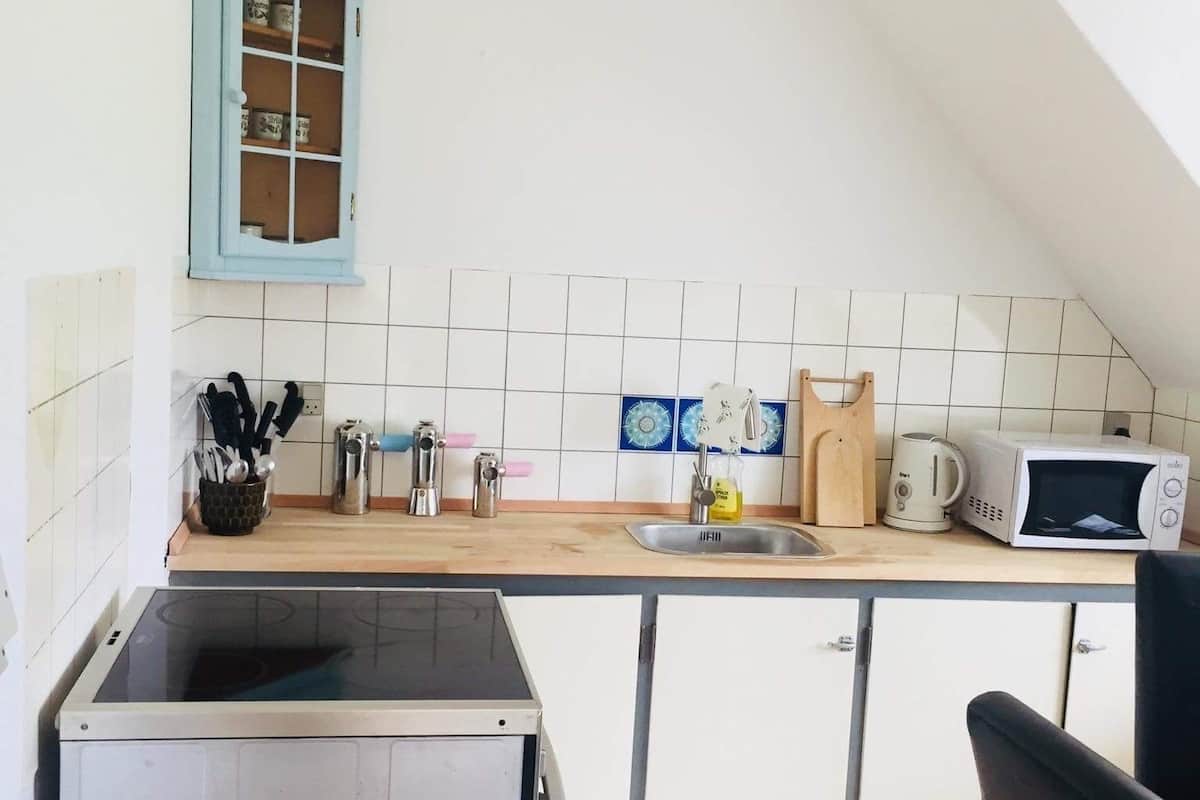 Full-size fridge, microwave, oven, stovetop