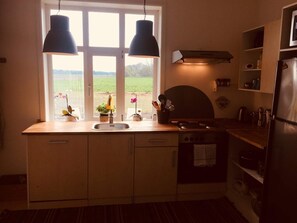 Großer Kühlschrank, Mikrowelle, Ofen, Herdplatte