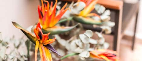 A close-up of a bird of paradise flower with vibrant orange and yellow petals.