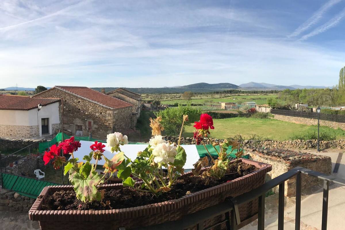 View from room