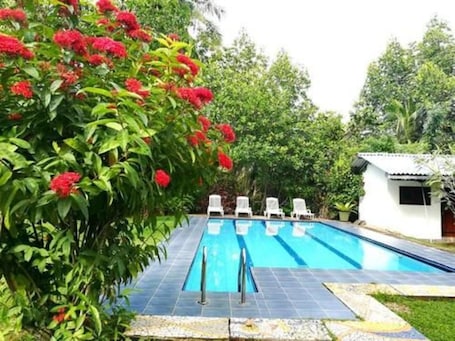 Outdoor pool, sun loungers