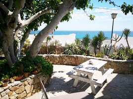 Casa la Higuera con vistas al mar | Terraza o patio