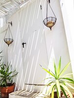 Bungalow, patio | Terraza o patio