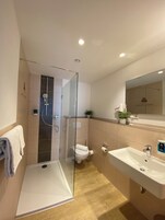 Shower, free toiletries, hair dryer, towels
