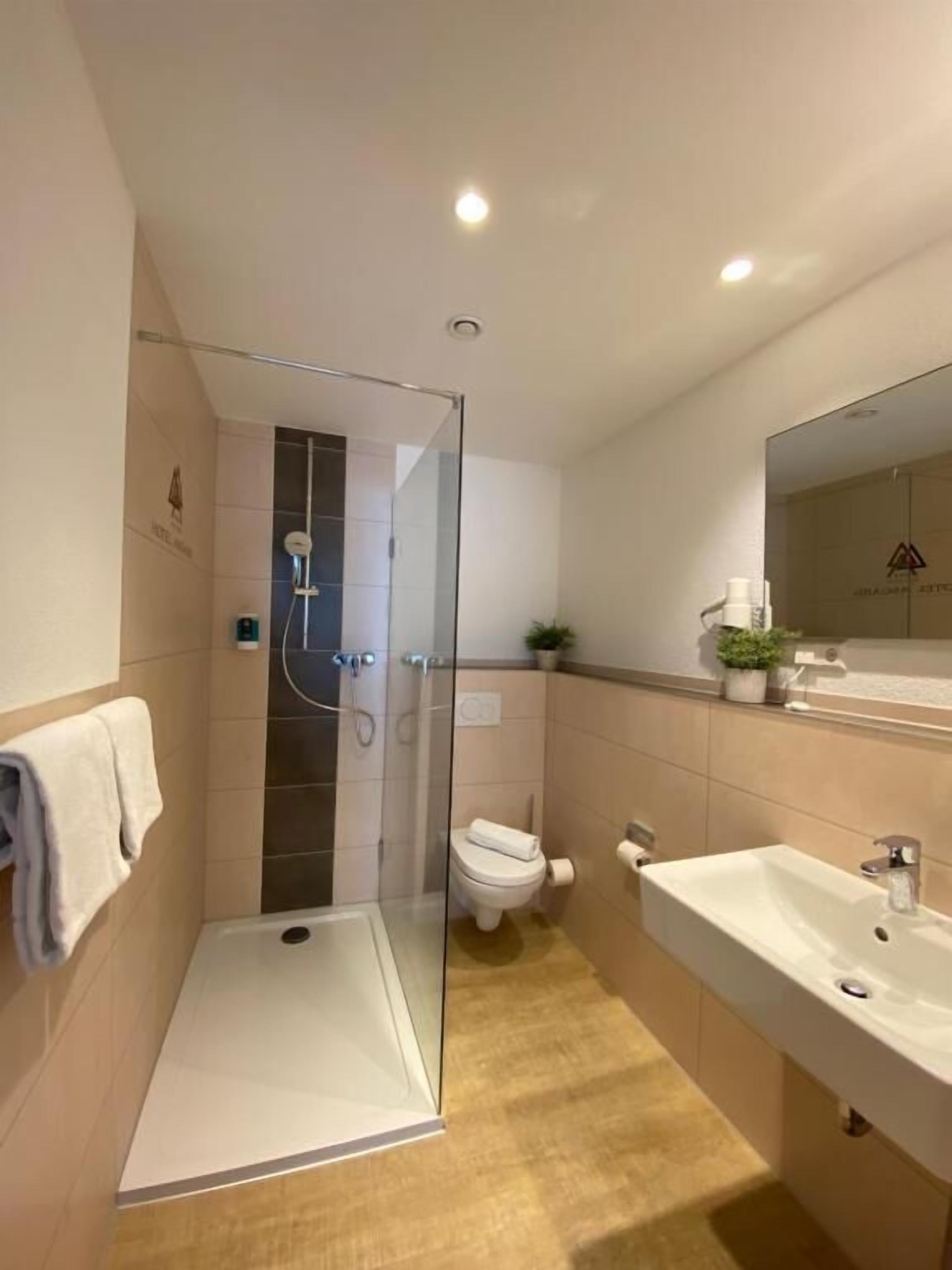 shower, free toiletries, hair dryer, towels