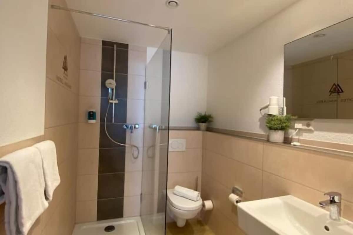 shower, free toiletries, hair dryer, towels