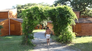 A pathway leading to wooden cabins with a natural archway of foliage. - Camping Domaine du Petit Lac (Moustiers-Sainte-Marie)