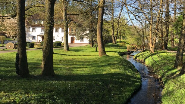 A serene park with a small stream, lush green grass, and a white building with a red door in the background. - Hotel Wintersmühle (Bielefeld)
