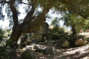 Exterior - B&B I Menhir (Sorgono)