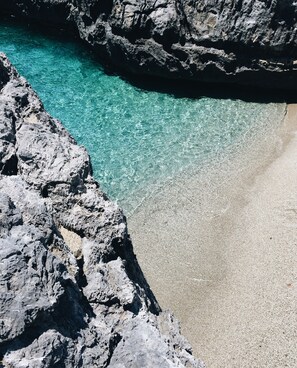 在海灘附近