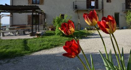 CasaMatilda Agriturismo Langhe