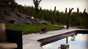 Un espace piscine agrémenté d’un chemin en pierre, de mobilier d’extérieur et d’une lanterne.