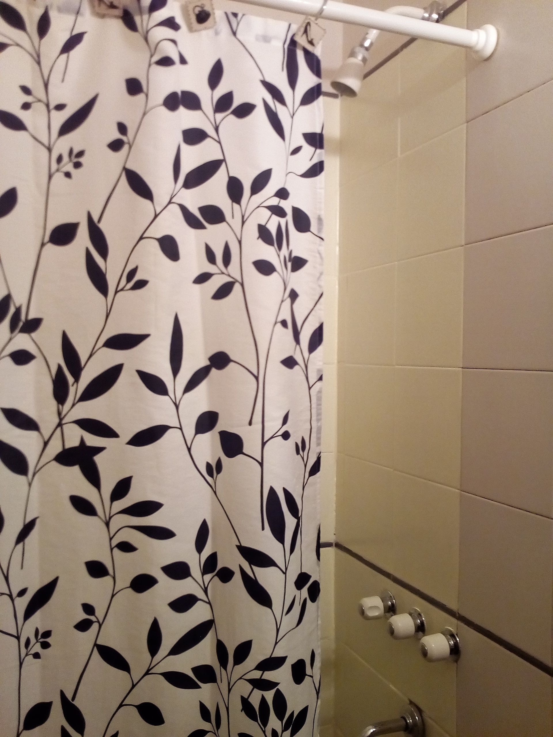 Ducha en el baño