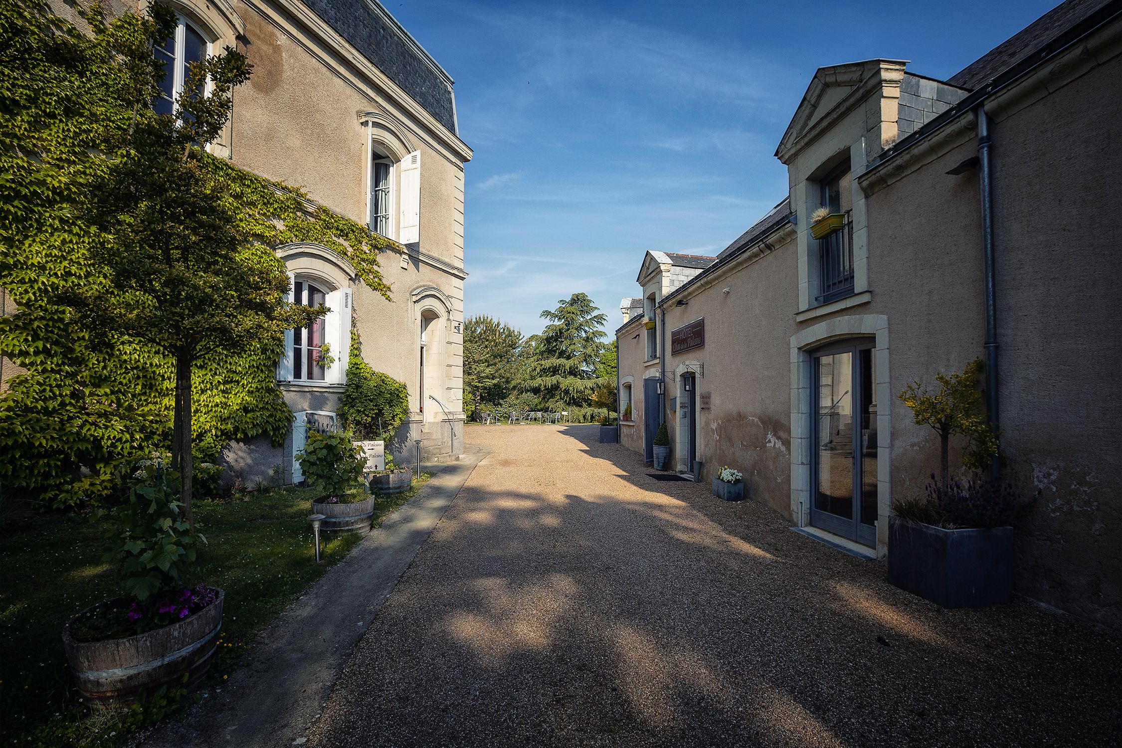 A gravel driveway leading to a building with a classic architectural style, surrounded by greenery and potted plants.