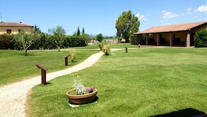 Exterior - Agriturismo Giuncola e Granaiolo (Grosseto)