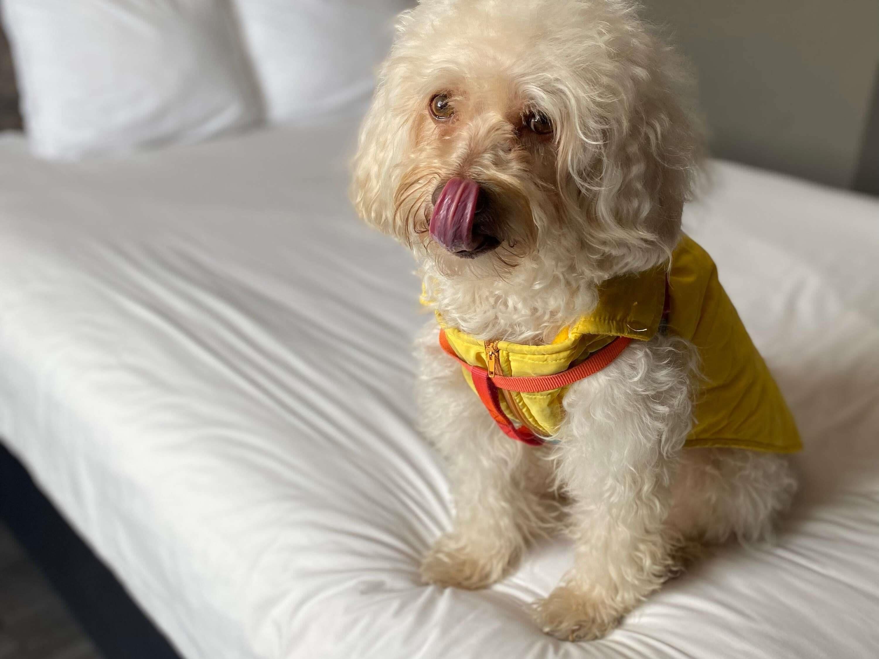 Foto - Ibis Mexico Tlalnepantla