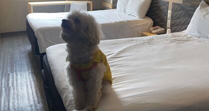 ibis Mexico Tlalnepantla