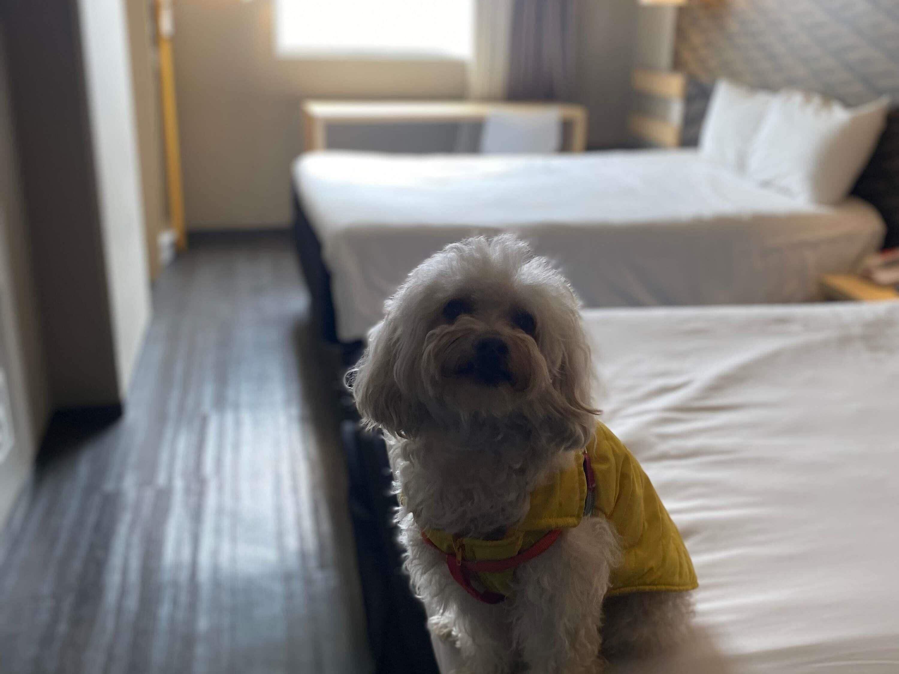 Foto - Ibis Mexico Tlalnepantla