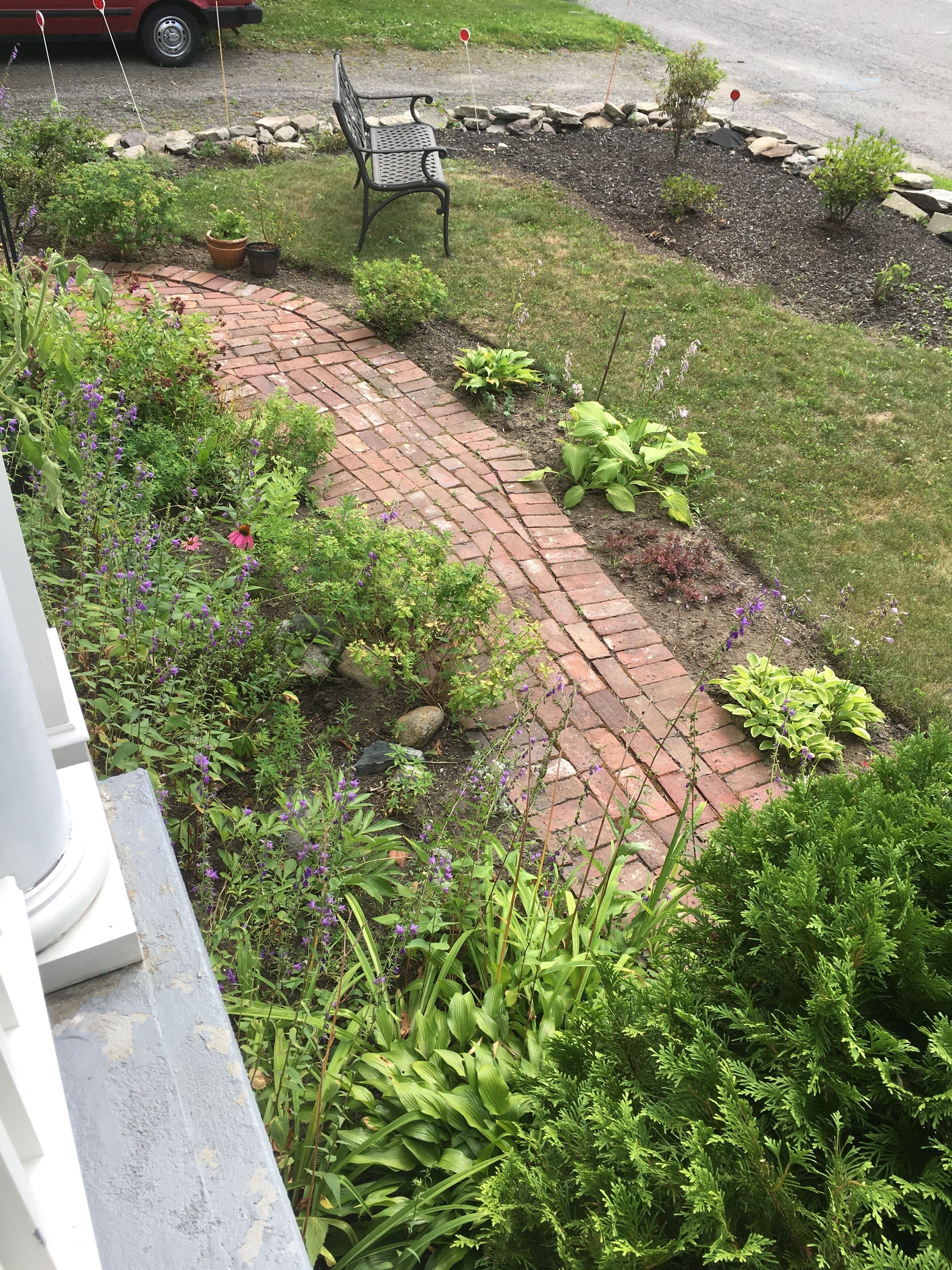 A garden pathway with a bench, surrounded by various plants and flowers.