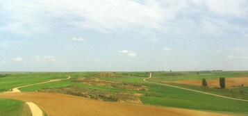Paisaje rural con un camino sinuoso, campos verdes y cielo despejado.