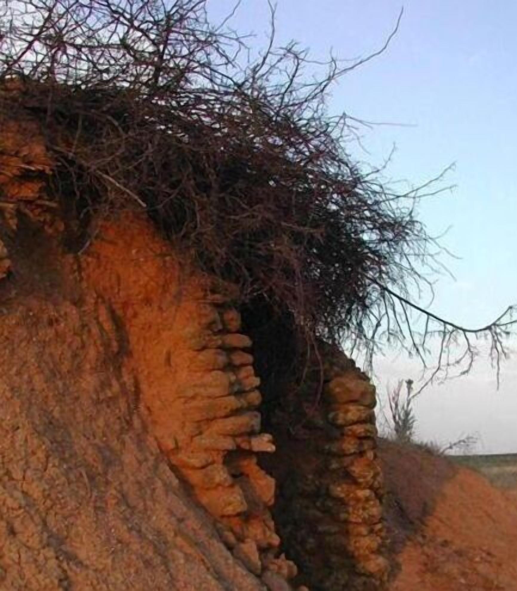 Una edificación de piedra con un estrecho pasaje.