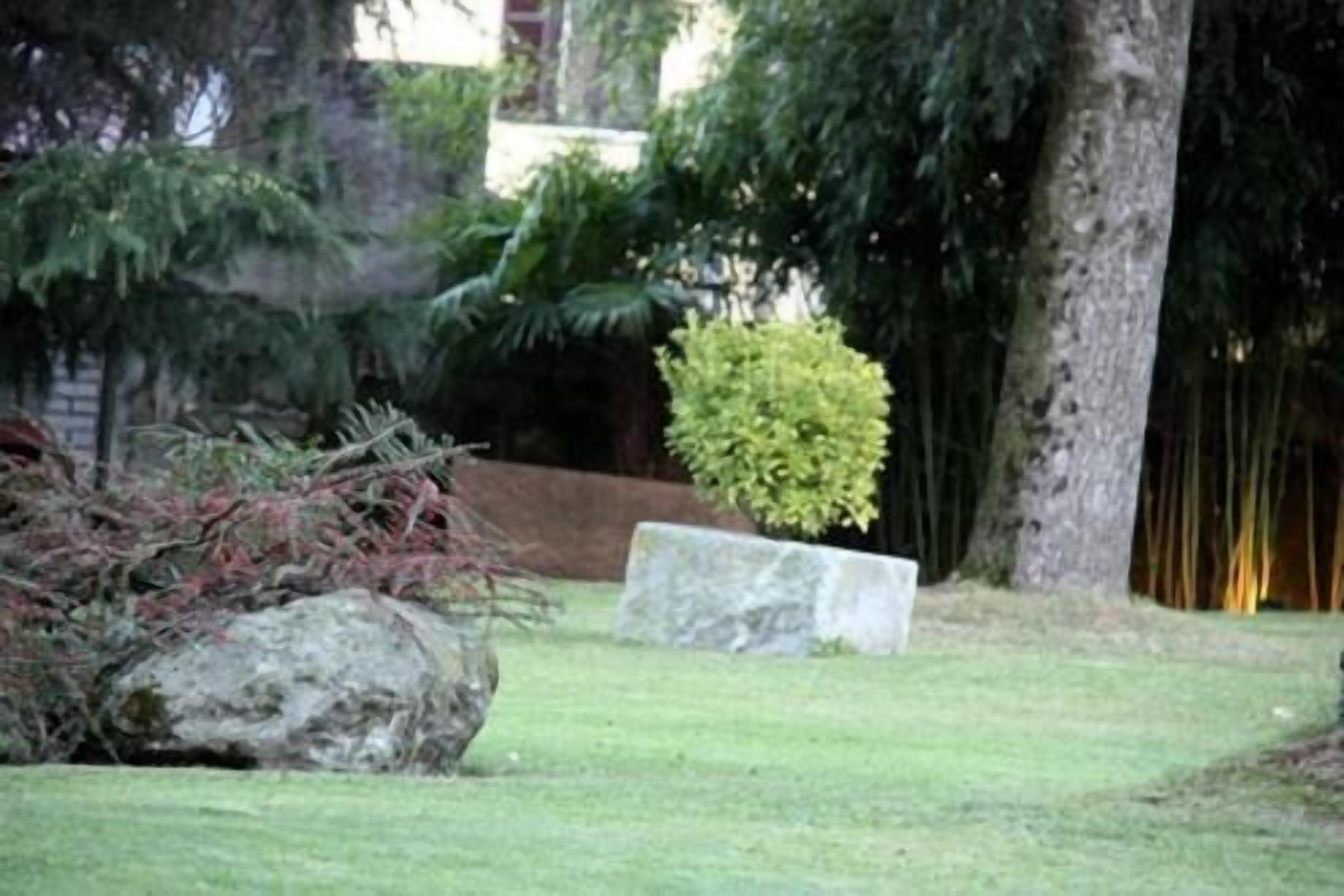 Un jardín con un banco de piedra, una roca grande y diferentes arbustos.