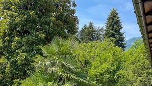 Un jardin avec différentes sortes de plantes et un sentier.
