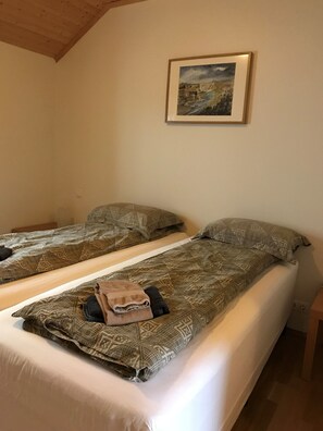 Habitación básica con 1 cama matrimonial o 2 individuales, baño privado | Camas extra, wifi gratis y ropa de cama