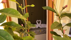 Una habitació amb un llit, una porta i vista exterior.
