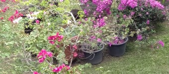 Te Moana Nui Villa 2