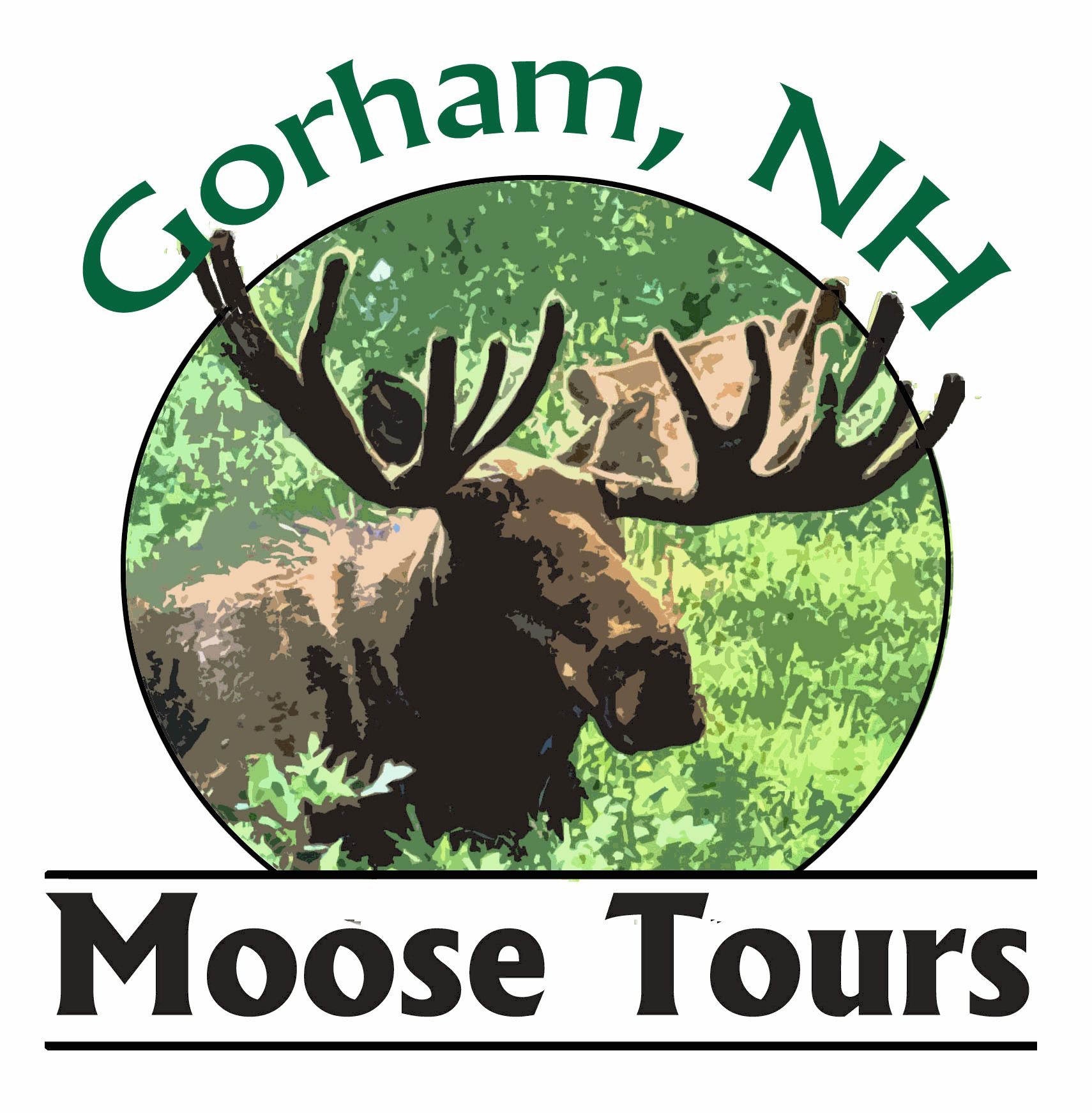 Foto - Quality Inn & Suites Gorham Riverside